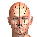 Eastern or Asian acupuncture and acupressure points on a male body