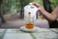 Eastern black tea in glass on a eastern carpet. Eastern tea concept. Armudu traditional cup. Sunset background. Selective focus Royalty Free Stock Photo