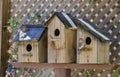 Eastern Bluebird bird nest box garden arbor birdhouses Royalty Free Stock Photo