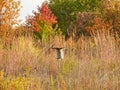 Eastern Bluebird Bird Sits Perched on Federally Protected Bluebird Nesting Box Royalty Free Stock Photo