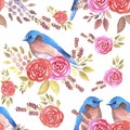 Eastern bluebird or Sialia sialis couple on seamless rose pattern watercolor background Royalty Free Stock Photo