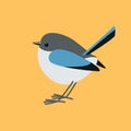 Eastern bluebird ,vector illustration ,flat style ,profile