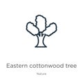Eastern cottonwood tree icon. Thin linear eastern cottonwood tree outline icon isolated on white background from nature collection