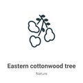 Eastern cottonwood tree outline vector icon. Thin line black eastern cottonwood tree icon, flat vector simple element illustration