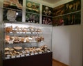 Eastern Europe Croatia Zagreb Mushroom Museum Mycology Nature Plants Poison Species Freeze-dried Mushrooms Collection