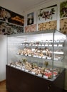 Eastern Europe Croatia Zagreb Mushroom Museum Mycology Nature Plants Poison Species Freeze-dried Mushrooms Collection