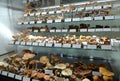 Eastern Europe Croatia Zagreb Mushroom Museum Mycology Nature Plants Poison Species Freeze-dried Mushrooms Collection Royalty Free Stock Photo