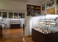 Eastern Europe Croatia Zagreb Mushroom Museum Mycology Nature Plants Poison Species Freeze-dried Mushrooms Collection