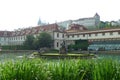 Eastern Europe Prague Vojanovy Sady White Peacocks Wallenstein Palace Gardens Peacock Outdoor Park Birds Watch Nature Green Grass