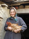 Eastern european old farmer woman holding chicken