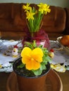 Eastern flower decoration made the house livlier