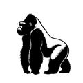 Eastern Gorilla. Eastern Gorilla simple black and white line art vector logo Royalty Free Stock Photo