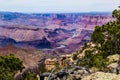 Eastern Grand Canyon from the South Rim; pine trees in foreground, Colorado River below. Royalty Free Stock Photo