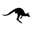 Black jumping kangaroo silhouette on background white. Royalty Free Stock Photo