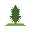 Eastern Hemlock tree icon vector sign and symbol isolated on white background, Eastern Hemlock tree logo concept