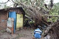 Amphan: Kolkata devastated as cyclone kills scores in India and Bangladesh