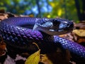 Eastern indigo snake (Dry on couperi)  Made With Generative AI illustration Royalty Free Stock Photo