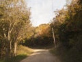 Eastern Nebraska country road in autumn Royalty Free Stock Photo