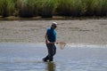 A crab hunter in shallow water with a net