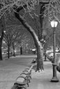 Eastern Parkway Streetlamp in Snow (B&W) Royalty Free Stock Photo