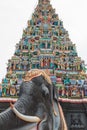 The eastern Raja Raja Gopuram Gateway - Nainativu Nagapooshani Amman Temple -Jaffna - Sri Lanka