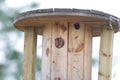 Eastern screech owl female sticking head out of industrial spool nest box