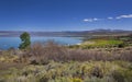 Eastern waterside of Mono Lake during summer, California, USA