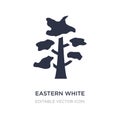 eastern white pine tree icon on white background. Simple element illustration from Nature concept