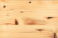 Eastern white pine wooden board texture Royalty Free Stock Photo