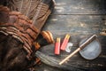 Eastern Wild Turkey Hunting Background Royalty Free Stock Photo