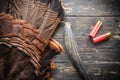 Eastern Wild Turkey Hunting Background Royalty Free Stock Photo