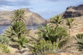 Easternmost part of the island Madeira, Ponta de Sao Lourenco, Canical town, peninsula, dry climate