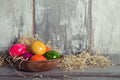 Easters egg in wooden dish Royalty Free Stock Photo
