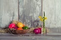 Easters egg in wooden dish Royalty Free Stock Photo