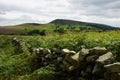 Easterside Hill, Hawnby, North York Moors National Park, North Yorkshire, England Royalty Free Stock Photo