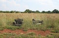 EASY CHAIRS ABANDONED IN THE VELD Royalty Free Stock Photo