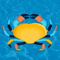 Easy colorful crab. flat vector illustration