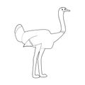 Easy Coloring Animals for Kids: Ostrich Royalty Free Stock Photo