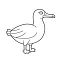 Easy coloring cartoon vector illustration of an albatross