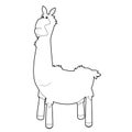 Easy Coloring Animals for Kids: Llama