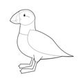 Easy Coloring Animals for Kids: Puffin