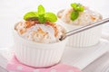 Easy dessert - milk rice Royalty Free Stock Photo