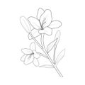 Easy flower coloring pages of antistress hibiscus flower branch of bud leaf\'s illustration, shoe flower