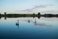 Bright lake with swans reeds forest and bridge at sunny summer day