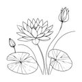 easy water lily drawing for kids, water lily drawing for kids, waterlily crayon drawing,