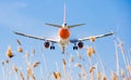 EasyJet plane landing Royalty Free Stock Photo