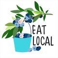 Eat local concept. Harvesting concept. Blueberries and bucket vector illustration in abstract flat style Royalty Free Stock Photo