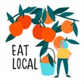 Eat local food concept. Harvesting concept. Woman picking oranges vector illustration in flat style Royalty Free Stock Photo