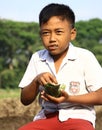 Eat in the rice field Royalty Free Stock Photo