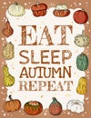 Eat sleep autumn repeat banner. Cute fall cozy halloween pumpkins postcard